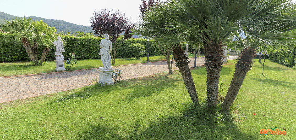 L'Albero del Pepe